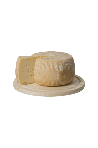 Pecorino Semistagionato